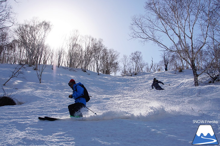 DYNASTAR SKI series Test Ride Days 2017 in ニセコユナイテッド【Day.2】～ニセコグラン・ヒラフ～